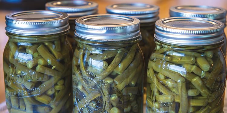 Nesco : Home Food Preservation Equipment